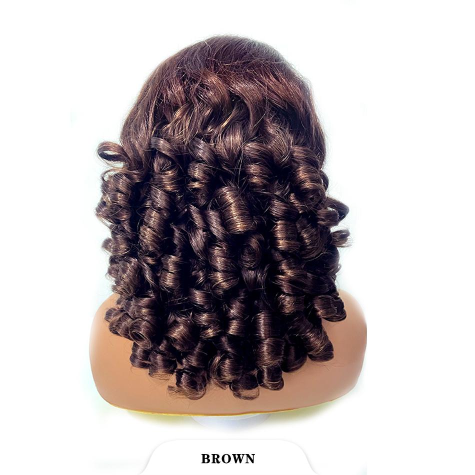 100% Vietnamese Raw Hair Wigs 250 Density Ombre Double Drawn Bouncy Curly Loose Wave 13x4 HD Lace
